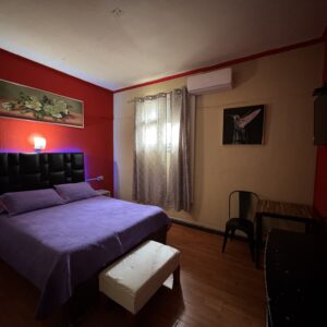 Suite Simple 24 Horas