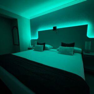 Suite Deluxe Dia Completo (Sin desayuno)